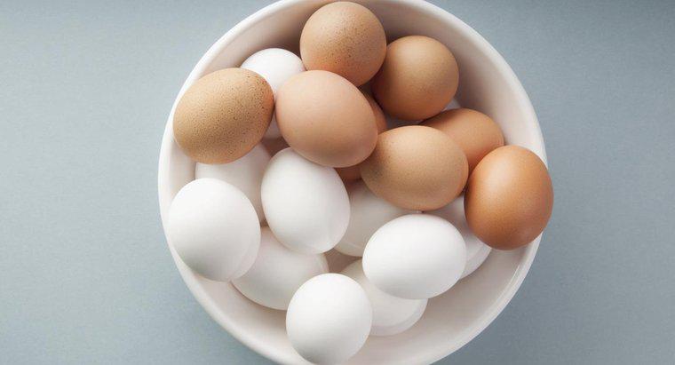 Les œufs blancs sont-ils blanchis ?