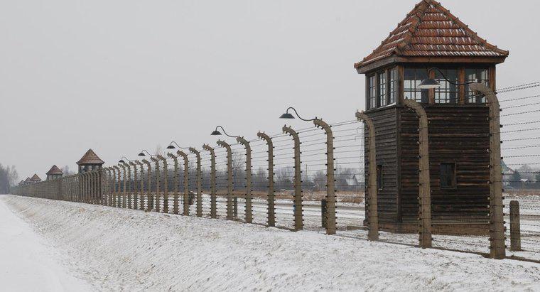 Quels sont les événements qui ont conduit à l'Holocauste ?