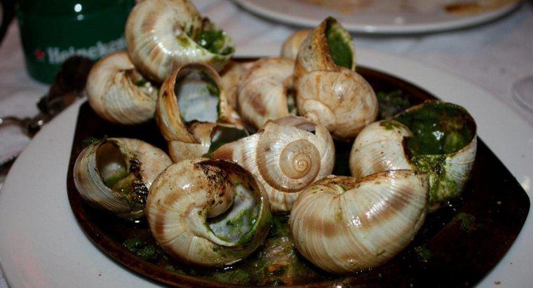 Pourquoi les Français mangent-ils des escargots ?