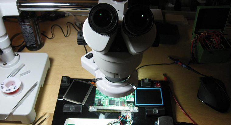 Quelles sont les pièces et les fonctions d'un microscope binoculaire ?
