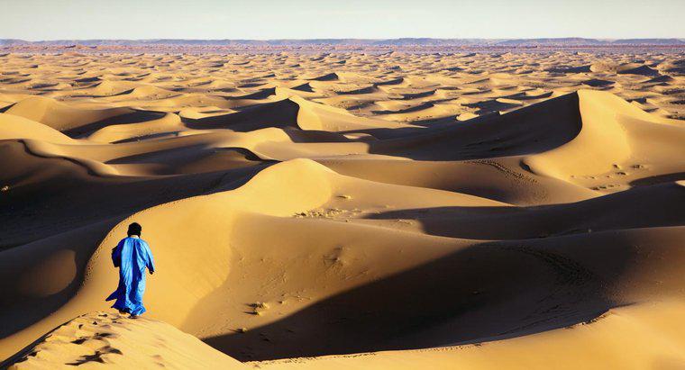 Quelles sont les professions de ceux qui vivent dans le désert du Sahara ?