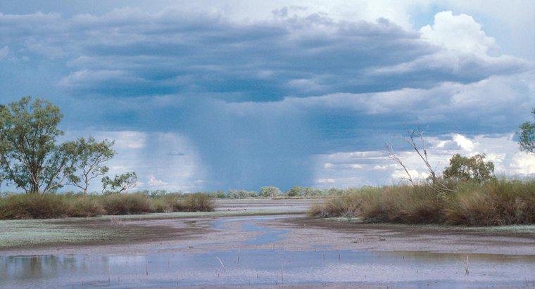 Qu'est-ce qu'une quantité moyenne de précipitations dans les zones humides?