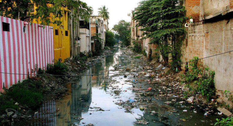 Quelles sont les causes de la dégradation de l'environnement en Inde ?