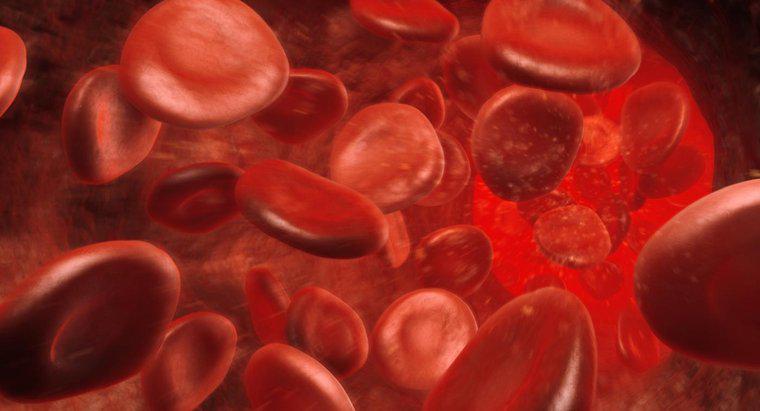 Que signifie un taux d'hémoglobine élevé ?