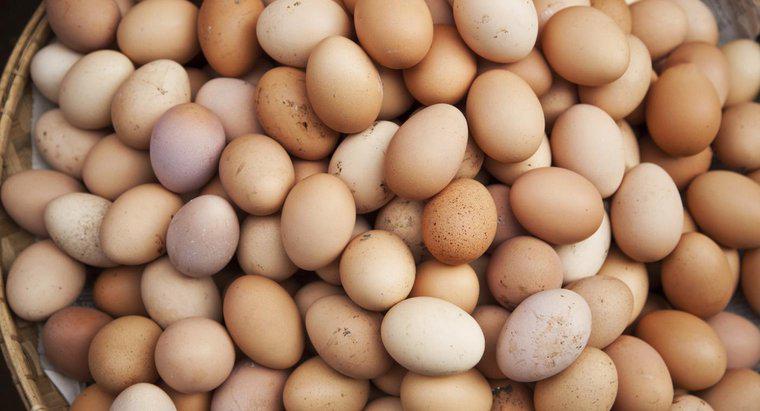 Les œufs sont-ils considérés comme des produits laitiers ou de la volaille ?
