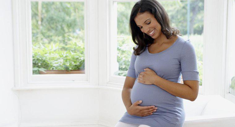 Comment la grossesse affecte-t-elle la température corporelle basale d'une femme ?