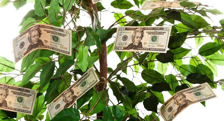 Comment offrir un arbre d'argent en cadeau ?
