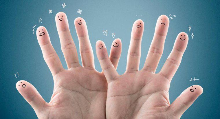 Pourquoi le bout des doigts est-il très sensible au toucher ?