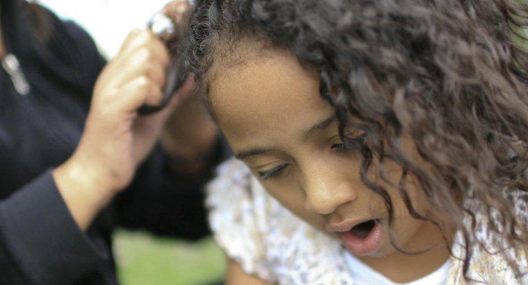 Où pouvez-vous trouver des photos de coiffures afro-américaines pour enfants ?