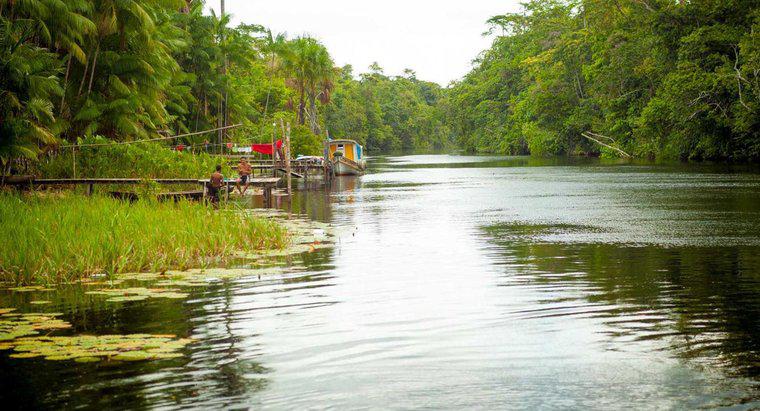 En quoi les fleuves Amazone, Nil et Mississippi se ressemblent-ils ?