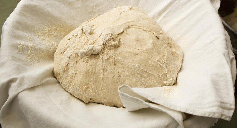 Qu'est-ce qu'un substitut à la levure dans le pain?