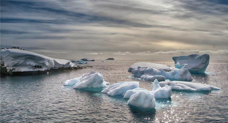 Quels sont les trois océans qui bordent l'Antarctique ?