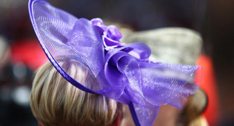 Qu'est-ce que la Purple Hat Society ?