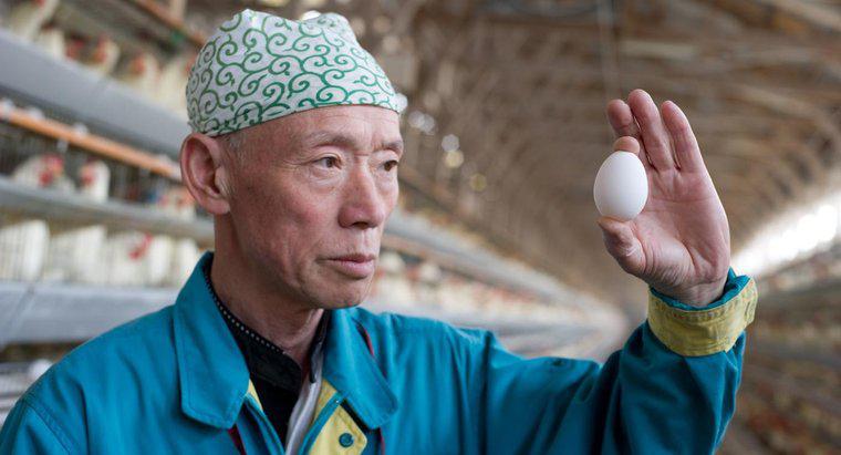 Peut-on tomber malade en mangeant de vieux œufs ?