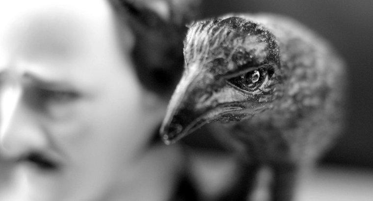 Quelles sont les allusions présentes dans "The Raven" d'Edgar Allen Poe ?