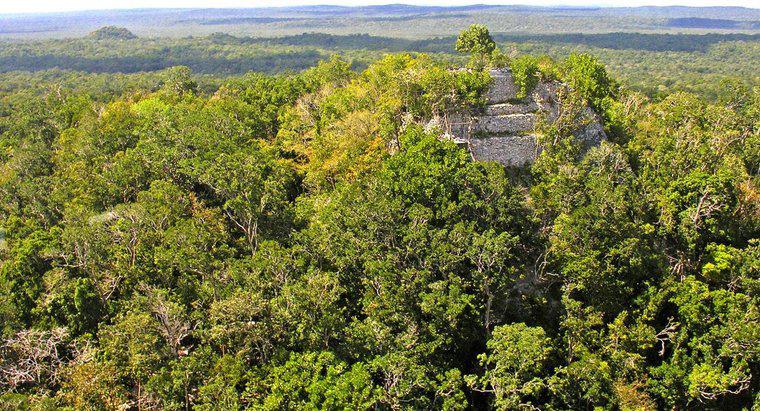 Où vivaient les Mayas ?