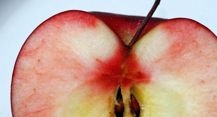 Comment les graines de pomme sont-elles dispersées ?