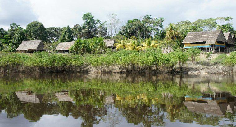 Où commence et où finit le fleuve Amazone ?