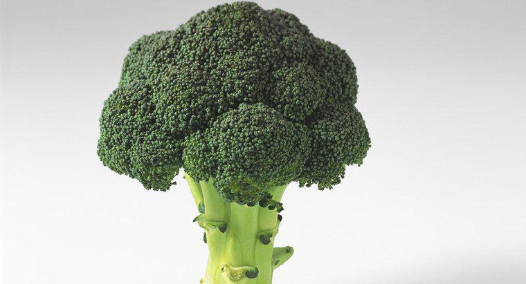 Que fait le brocoli pour votre corps ?