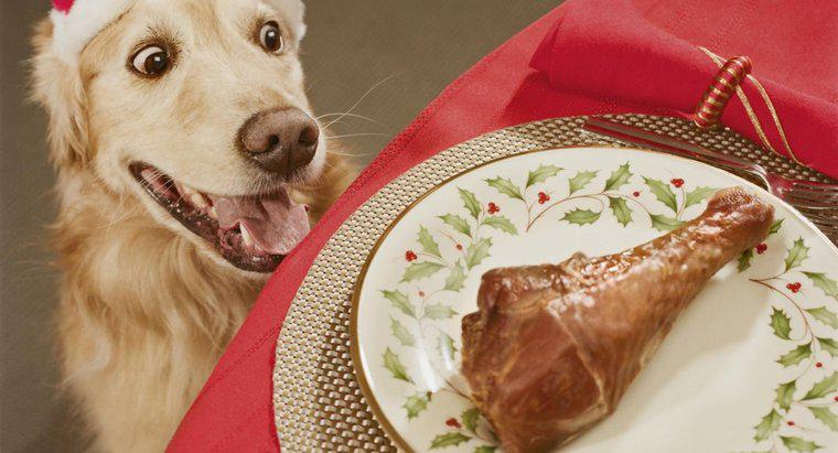 Les chiens peuvent-ils manger des os de poulet ?