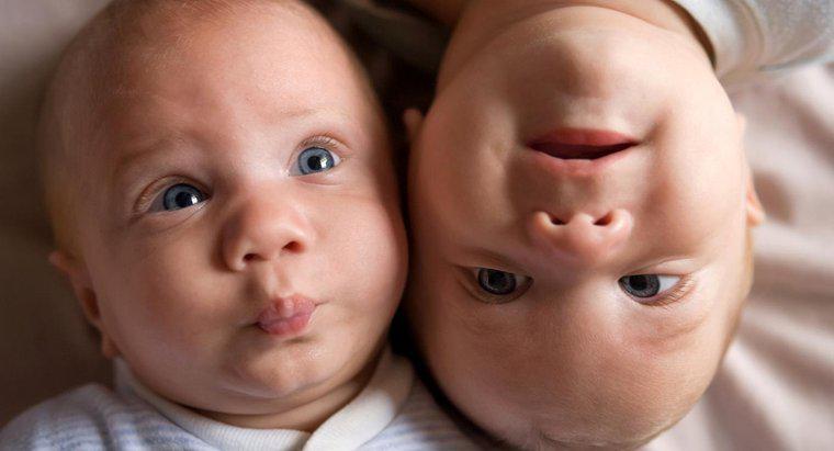 Des jumeaux peuvent-ils naître à des années d'intervalle ?