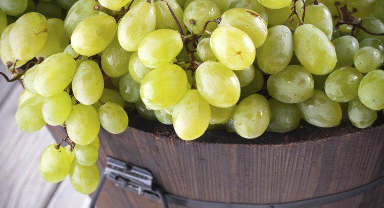 Quelle est la valeur nutritionnelle des raisins verts ?
