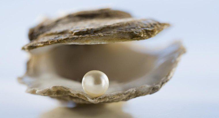 Quel est le symbolisme d'une perle ?