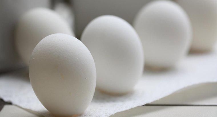Que se passe-t-il si vous mangez un mauvais œuf ?