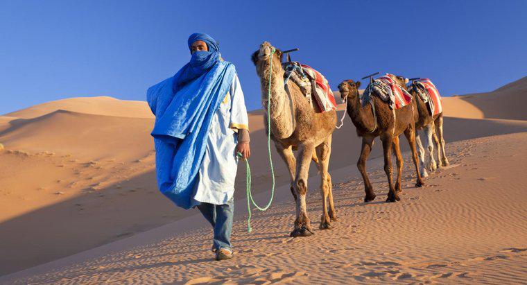 Quels pays le désert du Sahara couvre-t-il?