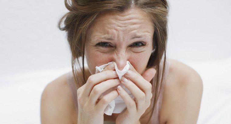 Quel agent pathogène cause la grippe ?