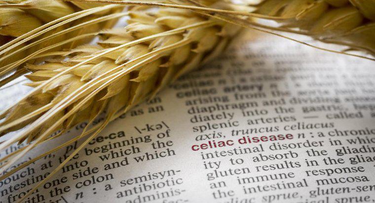 Quels sont les symptômes de l'allergie au blé ?