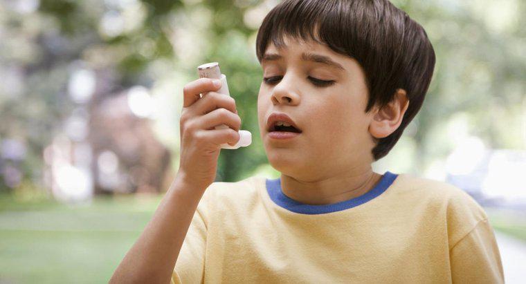 Comment le système respiratoire est-il affecté par l'asthme?