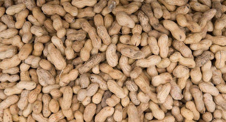 Comment cuisiner des cacahuètes crues ?
