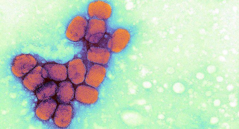 Quels sont les effets à long terme de la variole ?