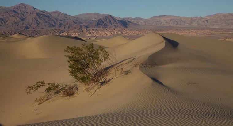 Quel agent d'érosion crée des dunes de sable ?
