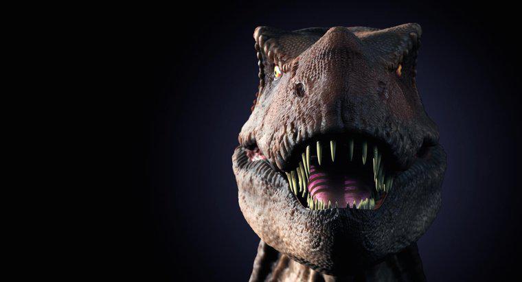 Quels sont les faits amusants sur le T. Rex pour les enfants ?