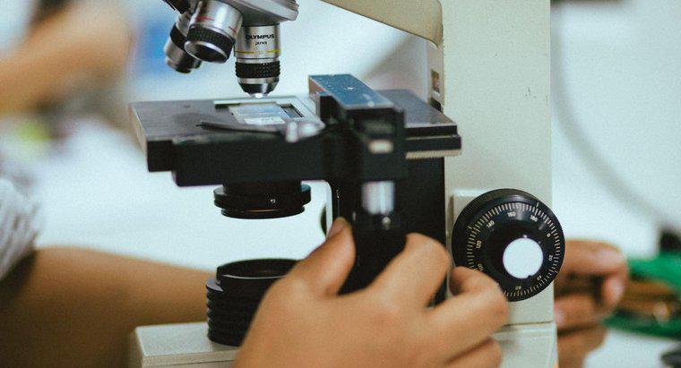 Quel est le but d'un microscope?