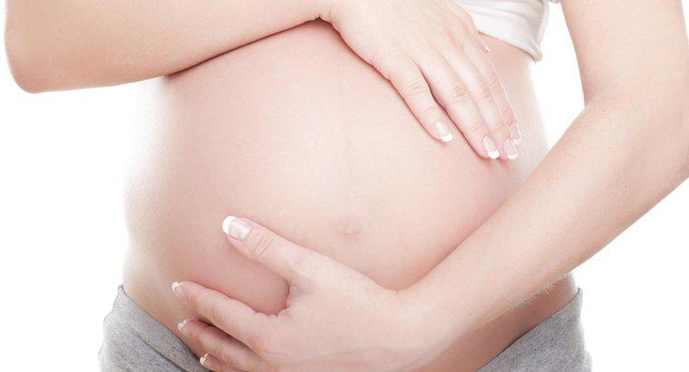Que se passe-t-il au septième mois de grossesse?