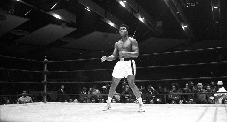 Quelles sont certaines des réalisations de Muhammad Ali ?