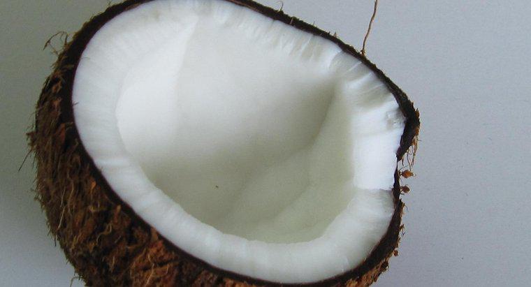 Les noix de coco ont-elles des graines ?