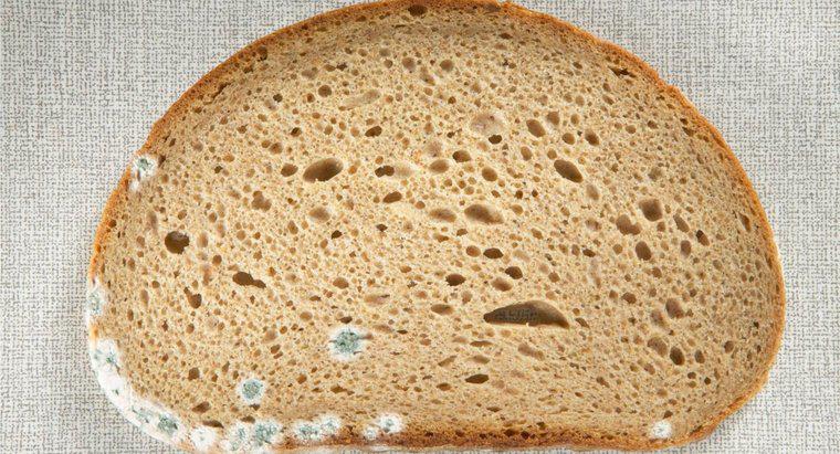 Quels sont les dangers de manger du pain moisi ?