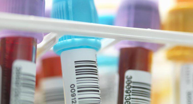 Quel tube de couleur est utilisé pour un test de laboratoire BMP et quelle quantité de sang est utilisée ?