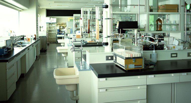Qu'est-ce qu'un équipement de laboratoire de microbiologie et comment est-il utilisé?