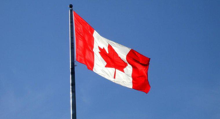 Qu'est-ce que le Canada importe d'autres pays?