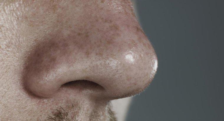 Quelles sont les causes des plaies à l'intérieur du nez?