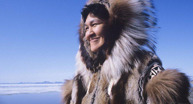 Quels sont certains faits sur le peuple inuit?