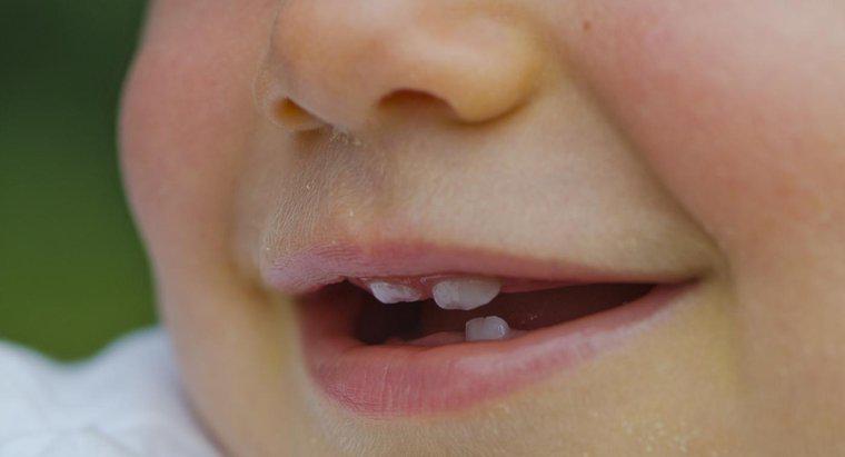 Qu'est-ce qui cause les petites dents?