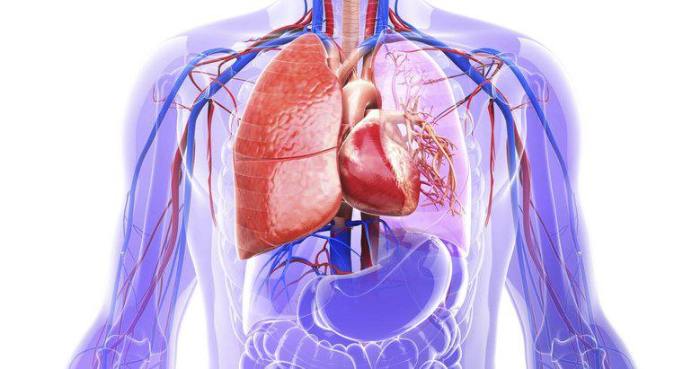 Qu'est-ce qu'un anévrisme aortique?