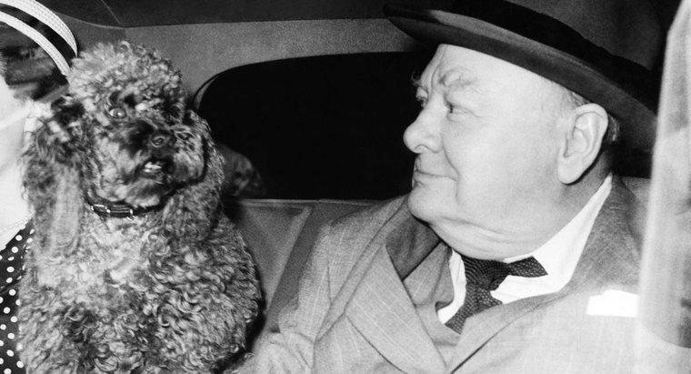 Qui était Winston Churchill et pourquoi était-il célèbre ?