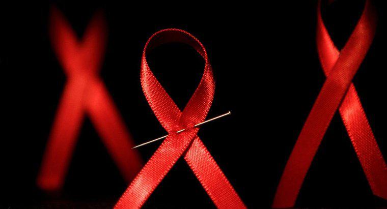 Qui est la personne séropositive qui vit le plus longtemps ?